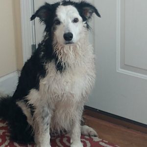 Meet your Posher, Heidi